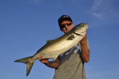 Lebendfischen im Mittelmeer