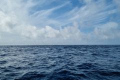 Das Phnomen Dupwelling und seine Folgen fr die Tierwelt