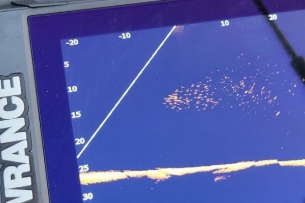 Live-Offshore-Angeln, mit Technologie auf groe Fische zielen