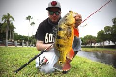 Das Streetfishing in Miami ist nicht von dieser Welt!