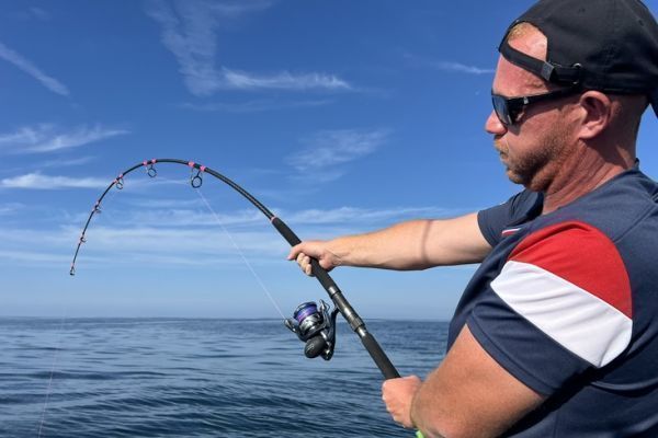 Roter Thunfisch im Sommer