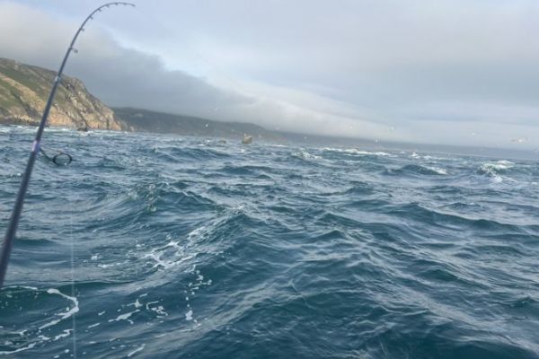 Die windigen Bedingungen eignen sich hervorragend zum Wolfsbarschangeln!