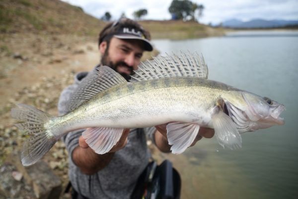 Zander vom Ufer aus angeln