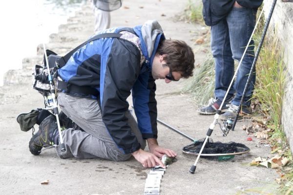 Angeln in Angers an der Maine, Schulstrecke fr Street Fishing