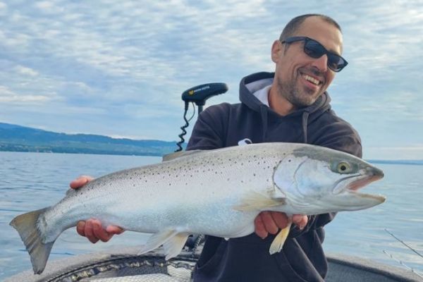 Angeln von Seeforellen