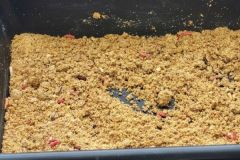 Angeln mit Kdern in Swasser