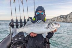 Im Herbst auf Wolfsbarsch angeln