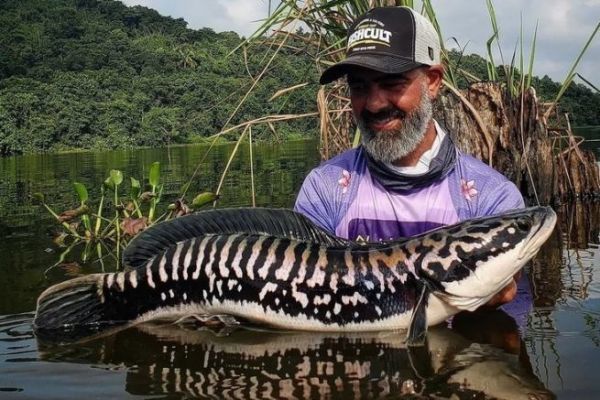 Angeln auf Giant Snakehead: Die richtige Ausrüstung für jede Technik