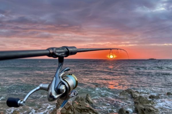 Die Gezeitenkoeffizienten sind entscheidend für den Erfolg von Angelausflügen auf dem Meer.