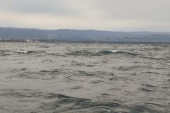 Der Einfluss des Mondes auf das Hochseefischen