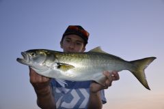 Wo findet man Tassergals?