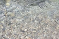 Flüsse wiederherstellen