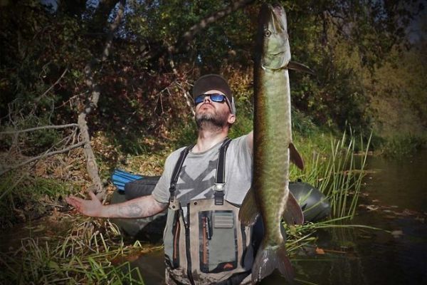 Der Maskinong�, einer der gr��ten S��wasserfische in Qu�bec.