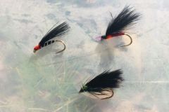 Kormorane sind wahre Forellenmagneten!