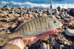 Angeln mit Untersttzung von der Kante aus