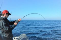 Obligatorische Meldung von Steckdosen im Jahr 2026