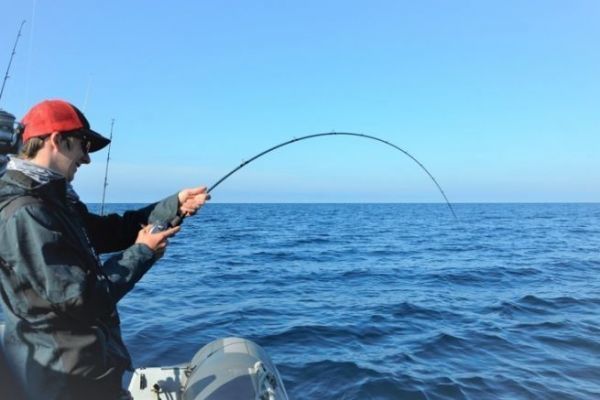 Erklrung fr das Freizeitangeln auf See 2026: Wer und wie?