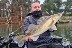 Wo kann man nach Zandern suchen?