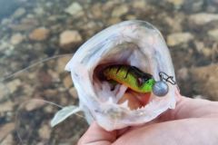 Angeln auf Raubfische im Winter