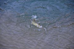 Mit dem Angeln im Winter beginnen