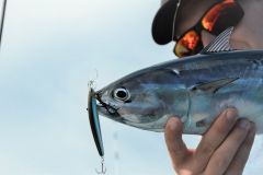 Leichtes Schleppangeln im Meer