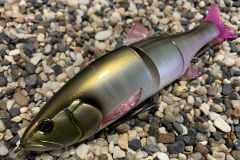 Die Gr��e 180 wurde sehnlichst erwartet!