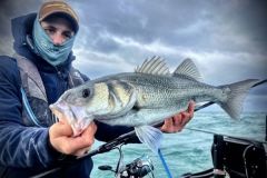 Gro�er K�der, gro�er Fisch?