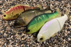 Der Illex-Gantarel kehrt zur�ck!