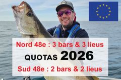Quoten 2026 für Seebarsch und Pollack