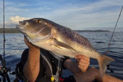 Mit dem Fireball auf Denti angeln