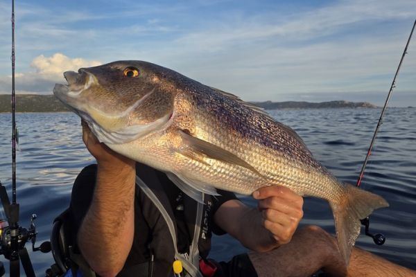 Mit dem Fireball auf Denti angeln