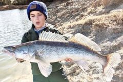 Zander vom Ufer aus angeln