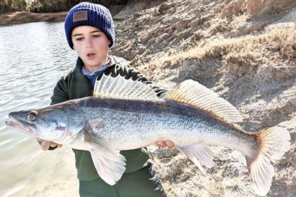 Im Winter vom Ufer aus auf Zander angeln, g�nstige Stellen finden