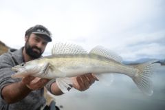 Die Ausr�stung, um vom Ufer aus auf Zander zu angeln