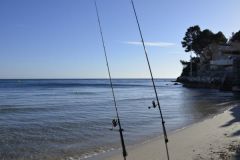 Surfcasting im Winter angeln