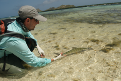 Los Roques zum Angeln auf Bonefish