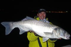 Enorme Bar, die bei Einbruch der Dunkelheit mit dem Boot aufgenommen wurde