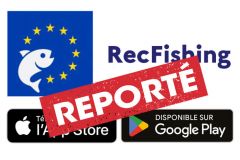 Start der RecFishing-App verschoben