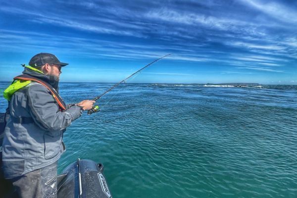 Eine Pause w�hrend der Animationen