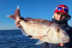 Techniken zum Angeln auf Papageientaucher