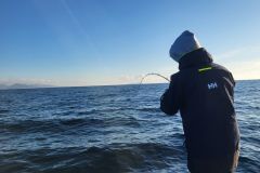 Die Ausrüstung zum Angeln auf Papageientaucher