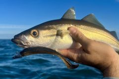 Seine ersten Fische zu fangen, ist ein besonderer Moment.