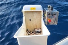 Sardinenmühle für den Fischfang