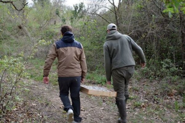 Wie stellt man k�nstliche Laichpl�tze f�r Blackbass her?