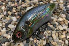 Die Hadara Trap startet aus 80 Metern Entfernung!