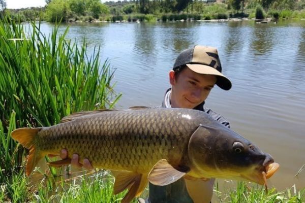 Karpfenangeln in Stalking