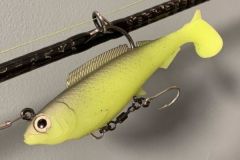 Der HerculeZ ist solide!