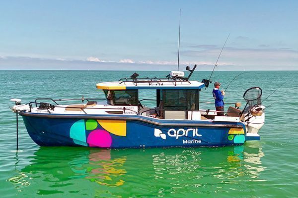 Die aktualisierte TAEMUP-Steuer im Jahr 2026.