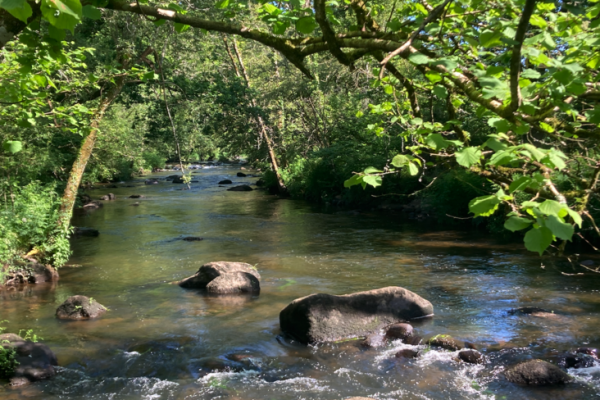 Die Vorbereitung auf eine neue Saison ist keine leichte Aufgabe!