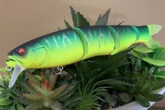 Der Spine-X 190 F schwimmt mit 4 verschiedenen Intensit�ten.